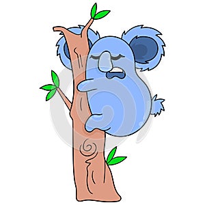 Koalas sleeping in hibernation cuddling in the tree, doodle icon image kawaii