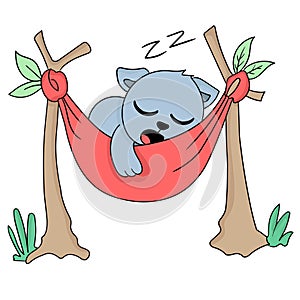 Koalas are sleeping in the hibernation season