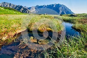 Kobylie pleso tarn in Kobylia dolina valley in High Tatras during summer