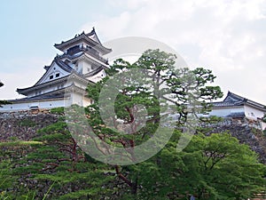 Kochi Castle in Kochi, Kochi Prefecture, Japan.