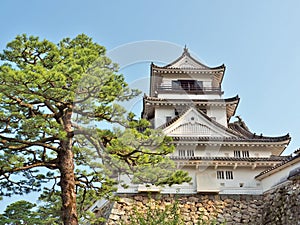 Kochi Castle in Kochi Prefecture, Japan.