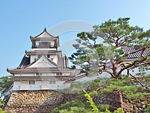 Kochi Castle in Kochi Prefecture, Japan.