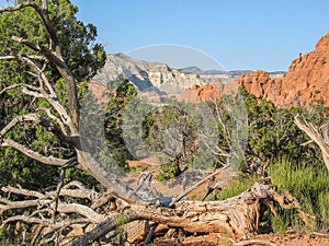 Kodachrome Basin State Park in Utah