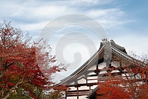 Kodaiji temple and autumn maple in Kyoto, Japan