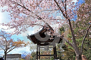 Kodaiji temple Kyoto Japan.