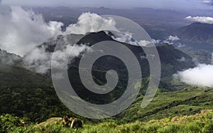 Kodaikanal Moir or Suicide point