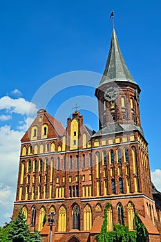 Koenigsberg Cathedral - Gothic temple 14th century. Kaliningrad photo