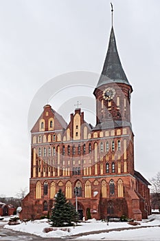 Koenigsberg cathedral photo