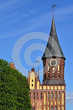 Koenigsberg Cathedral. Symbol of Kaliningrad, Russia