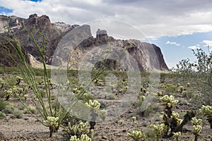 Kofa Mountains and Wilderness Area