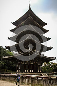 Kofukuji Temple five storied pagoda, Nara, Kansai, Japan