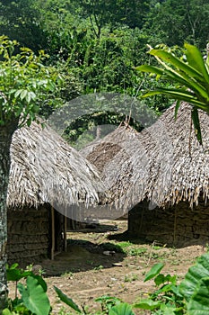 Kogui huts in an indigenous village at Sierra Nevada of Santa Marta in Colombia photo