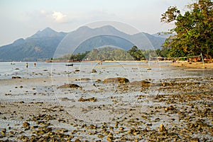 KOH CHANG, THAILAND - January, 2013: Low tide in the ocean in Koh Chang, Thailand