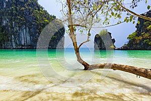 Koh Hong Island with Blue Sky in Sunny day. Krabi, Thailand