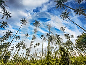 Koh Mak tropical island and its paradise beach near koh Chang, Trat, Thailand