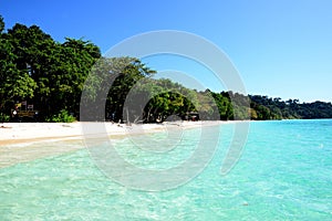 Koh Rok Rok Island is a small archipelago in southern Thailand in the Andaman Sea