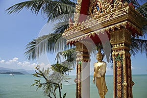 Koh samui beach buddha statue thailand