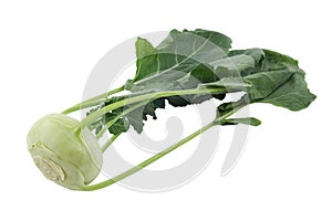 Kohlrabi; Clipping path