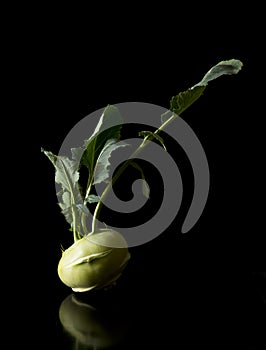 Kohlrabi German turnip or turnip cabbage with leaves