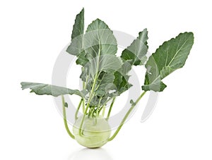 Kohlrabi with clipping path