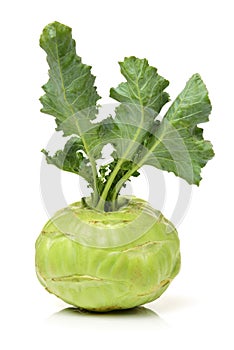 Kohlrabies