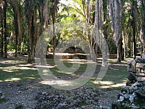 Kohunlich Mayan ruins deep in the jungle