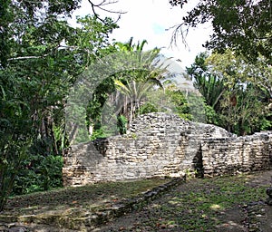 Kohunlich Mayan Ruins of Quintana Roo