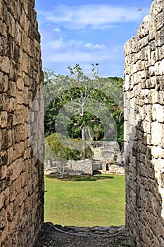 Kohunlich Mayan Ruins of Quintana Roo