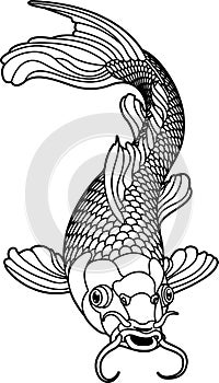 Koi carp black and white fish