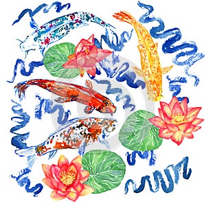 Koi carp collection swimming in pond with blue waves, red lotus flowers with leaves