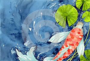 Koi carp fish in pond, symbol of good luck and prosperity. Watercolor hand painting illustration