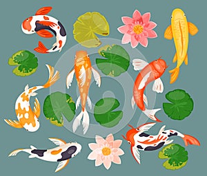 Koi carp fishes set, asian prosperity fortune lucky symbol and pink lotus, green leaf