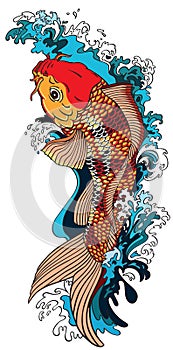 Koi carp goldfish swimming upstream