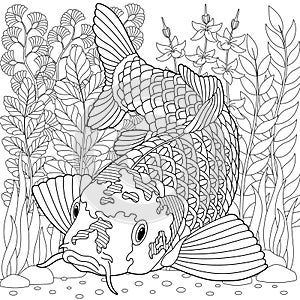Koi fish adult coloring book page