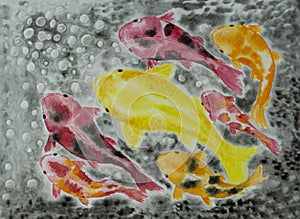 Koi fish or colorful fancy carp illustration watercolor hand drawing