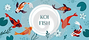 Koi fish. Decorative Asian pond. Japanese carps top view. Colored nishikigoi. Goldfish swimming in Chinese lake. Water