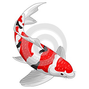 Koi fish design elements