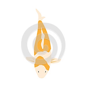 Koi fish icon design ilustration template vector