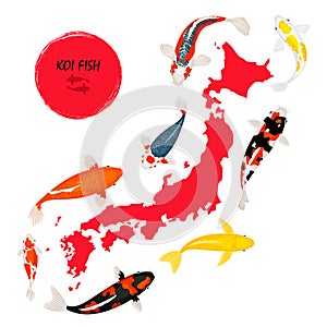 Koi fish and Japan map