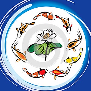 Koi Fish Lotus