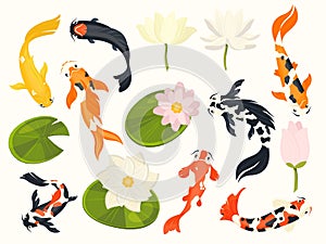 Koi fish and lotus. Exotic asian aquatic animals swimming in lotus flower pond, traditional chinese buddhist symbols. Vector