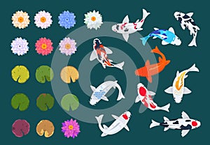 Koi fish and lotus. Japanese carp, flowers and leaves of water lilies. China asian traditional vector set