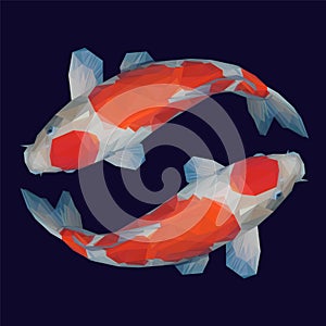 Koi fish in lowpoly style