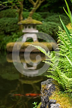Koi Fish and Pagoda in the Portland Japanese Garden