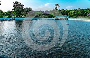 Koi fish pond in Lekki Conservation Center Lagos Nigeria