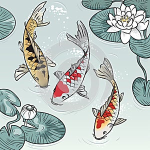 Koi-fish among water-lilys