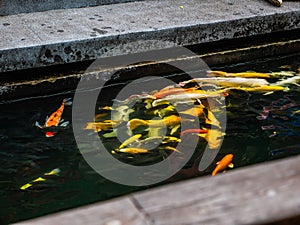 Acqua stagno sul santuario fondazione 