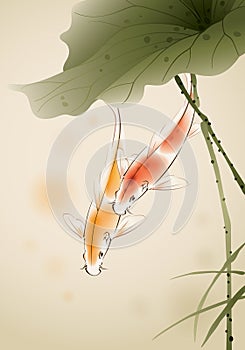 Koi fishes in lotus pond