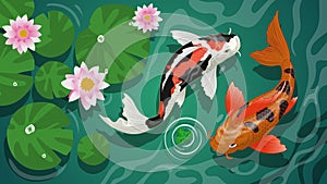 Koi fishes swiming in the pond