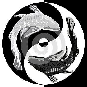 Koi jerks in the yin yang sign. White and black Asian carp in the symbol of life, movement, good and evil. Asian